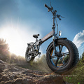 Folding Aluminum Alloy Fat Tire Electric Bike